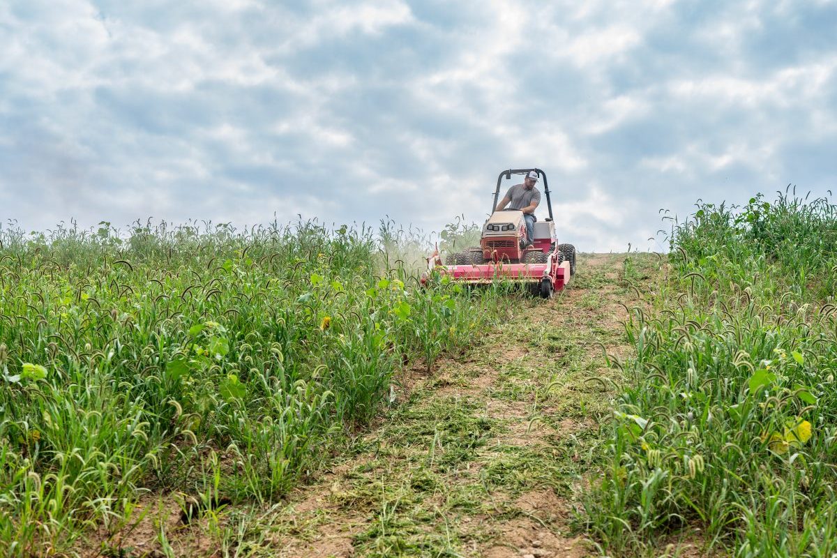 Ventrac cutting a first pass through long grass and weeds on open land
